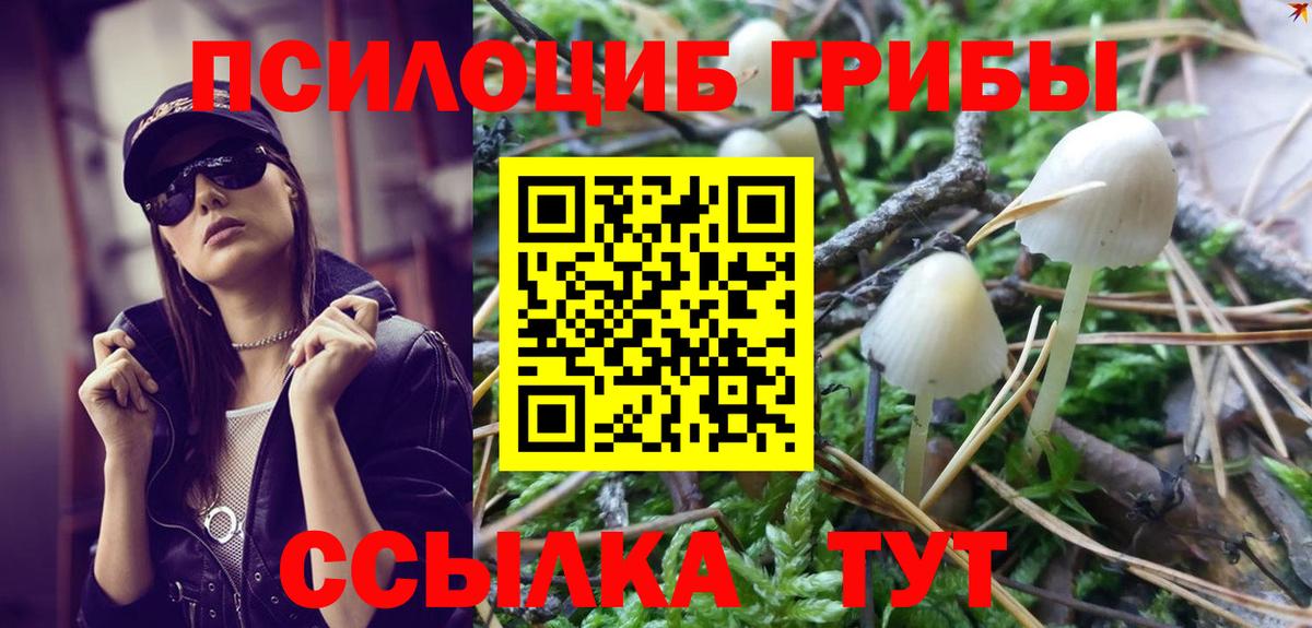 Гусь-Хрустальный  Псилоцибиновые грибы Psilocybine cubensis  Вход с VPN 